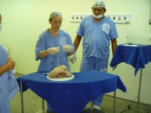 Imagem da notícia - Governo do Amazonas capacita equipes para transplantes na FHAJ