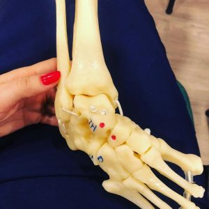 Imagem da notícia - A Fundação Hospital Adriano Jorge – realizou o Curso de Pé Torto Congênito